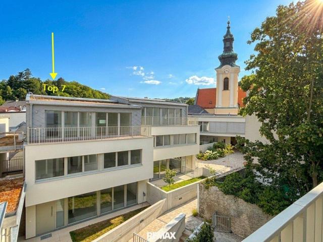 Haus 7: Weidling Collection – Courtyard