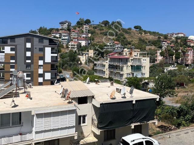 Havuzlu Önü Açık 1+1 Daire Gazipaşa