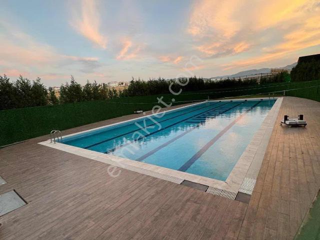 Havuzlu Sitede Lüx Eşyalı Büyük Tip 1+1 Uygun Fiyat ! Lifecity