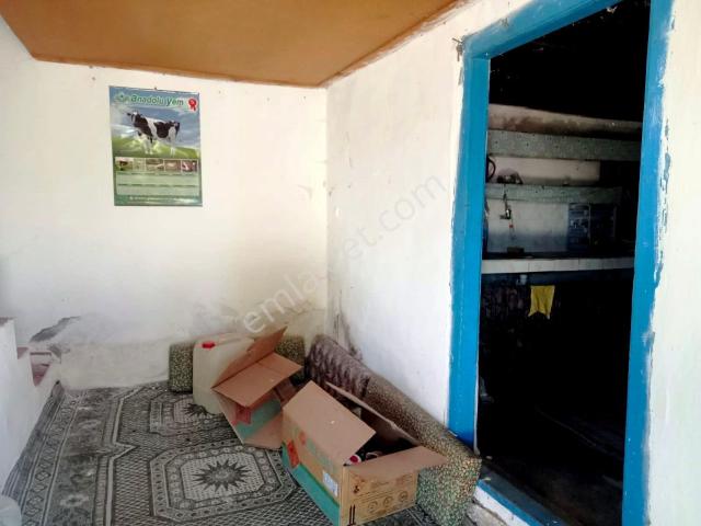 Havran Büyükşapçı Köyünde Köy Merkezinde Satılık Müstakil Köy Evi