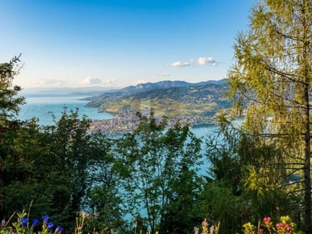 HAVRE DE PAIX AU COEUR DES ALPES, VUE SUR LE LEMAN