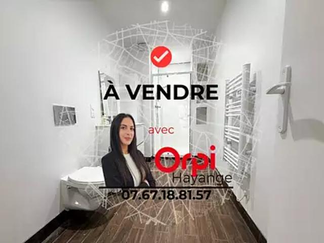 Hayange 57700 Achat / Vente appartement 2 pièces t2 cave