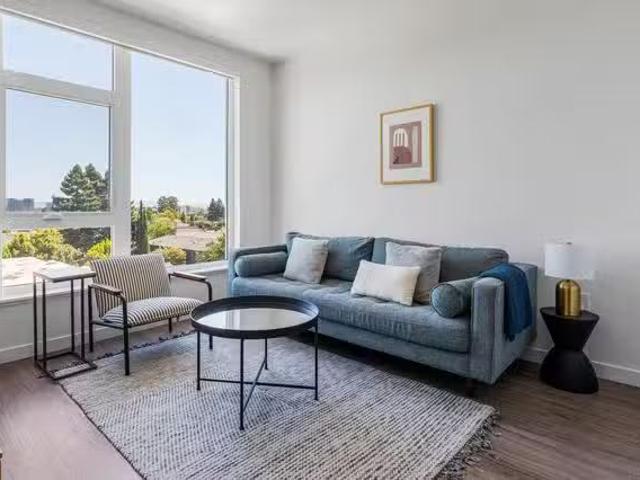 Hayden Apartments, 815 Old County Rd, Belmont 1 Bedroom 1.