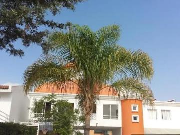 Haz Realidad el Sueño de tu Casa Propia en Milenio III