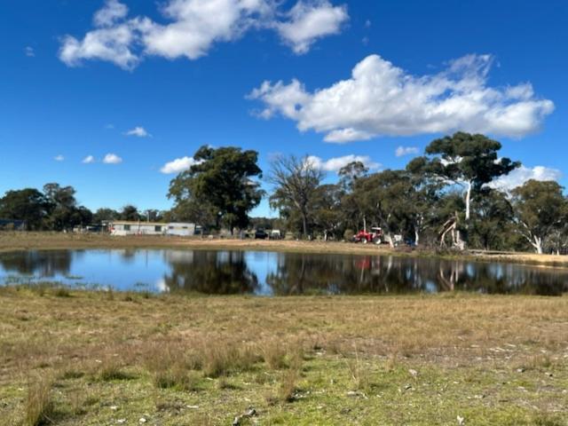 Hazelton Ridge 100 Acres With Building Approval Camp Site
