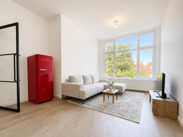 Henegouwerlaan, Rotterdam