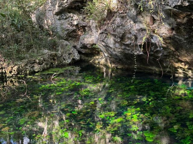 Hect?reas Disponibles para Desarrollo Tur?stico y Eco Proyectos en la Riviera Maya