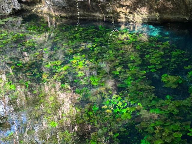 Hect?reas Disponibles para Desarrollo Tur?stico y Eco Proyectos en la Riviera Maya