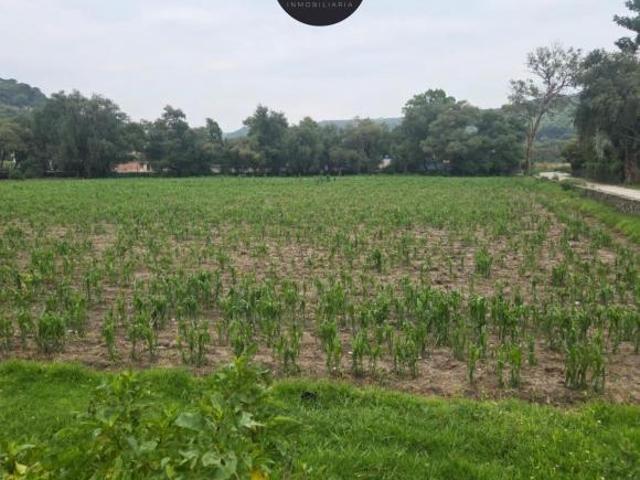 Hectárea en Venta en Tepeji del Río HGO