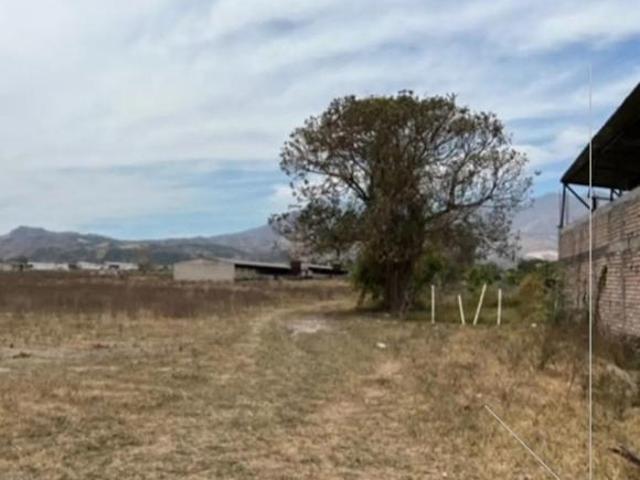 HECTAREA EN VENTA EN NUEVO BLVD PANTANAL XALISCO, NAY