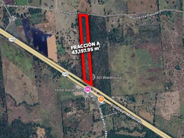 HECTÁREAS EN VENTA CARRETERA LA TINAJA SAYULA | ARLETTE FLORES