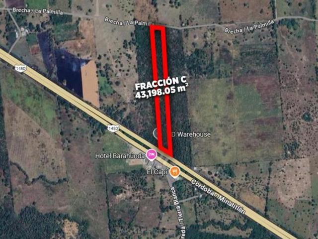 HECTÁREAS EN VENTA CARRETERA LA TINAJA SAYULA | ARLETTE FLORES
