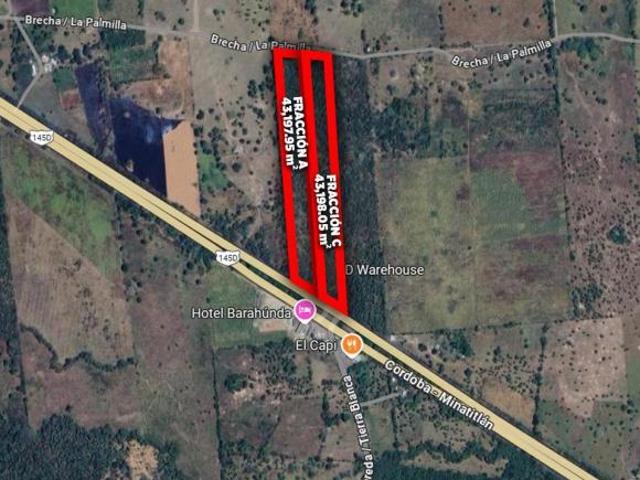 HECTÁREAS EN VENTA CARRETERA LA TINAJA SAYULA | ARLETTE FLORES