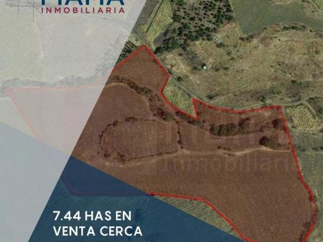 HECTAREAS EN VENTA CERCA DE MEXIFRUTAS EN TEPIC, NAY