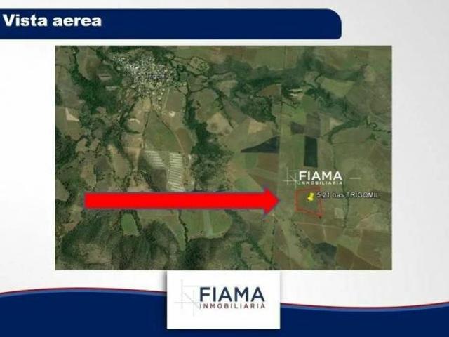 HECTAREAS EN VENTA EN EL POBLADO DE TRIGOMIL