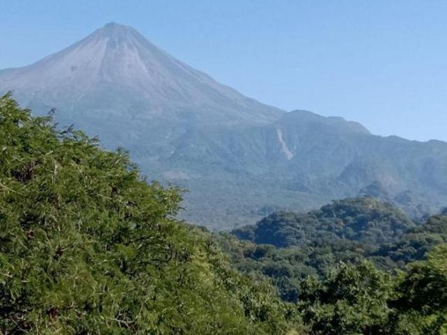 12 HECTAREAS EN VENTA EN EL ZACATERA, COFRADIADE SUCHITLAN, COMALA, COLIMA, MEXICO