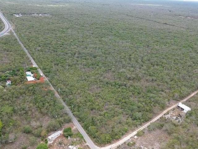 HECTÁREAS EN VENTA EN SAN ANTONIO TEHUITZ, KANASÍN