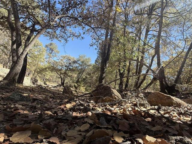 HECTAREAS EN VENTA EN SIERRA DE LAUREL