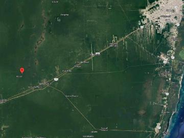 Hectareas en venta en Puerto Morelos Leona Vicario