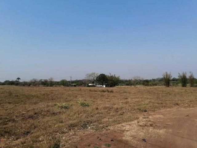 Hectáreas en Venta Veracruz Cuenta con 2 Bodegas Loc. El Pando, Veracruz