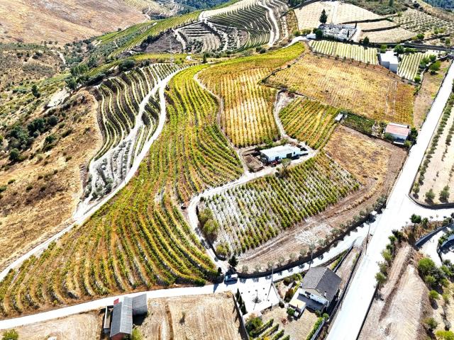 Propriedade Agrícola no Coração do Douro com Vinhas de Vinho do Porto, Olival, Amendoeiras e Sobreiros