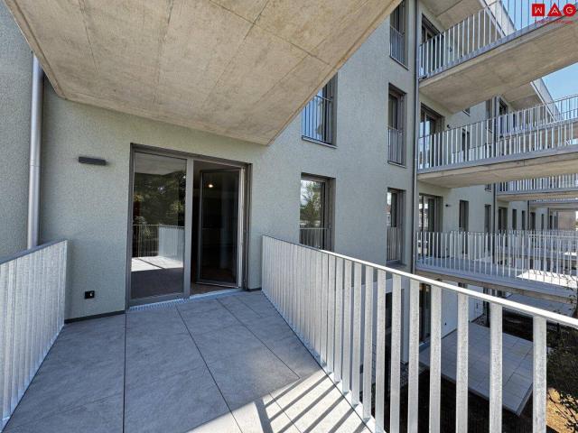 Heimelige 2 Zimmerwohnung mit 1 Balkon!