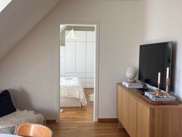 Heimelige 2 Zimmerdachwohnung in Seebach