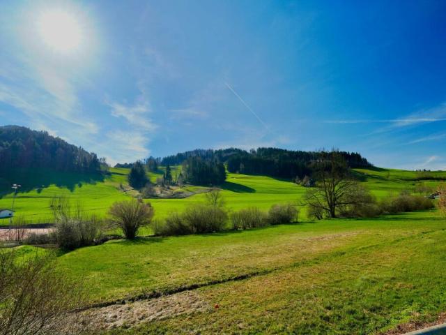 heimelige Dachwohnung mitten in Gähwil