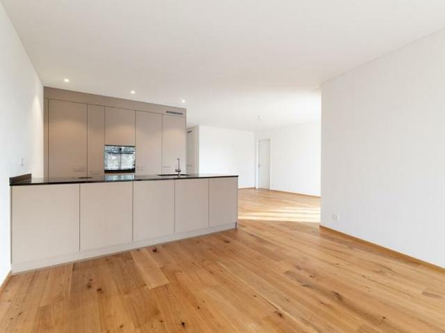 Heimeliges Bijou Moderner Neubau in Höri