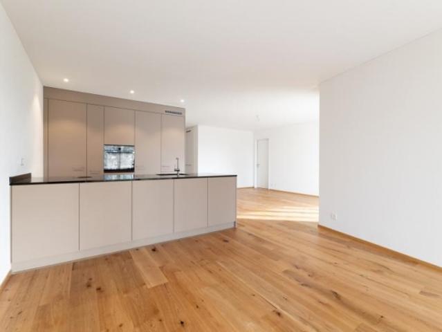 Heimeliges Bijou Moderner Neubau in Höri