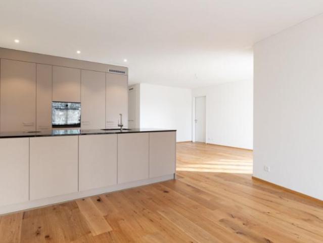 Heimeliges Bijou Moderner Neubau in Höri