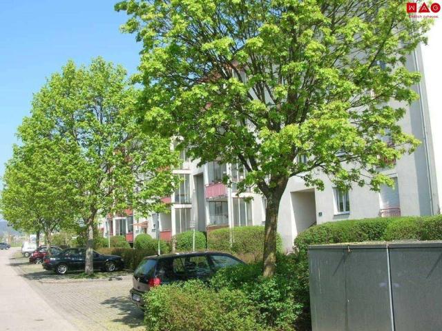 Heimkommen und wohlfühlen grünes, modernes Wohnen in Leondinger Toplage optimale Raumaufteilung erstklassige Infrastruktur!