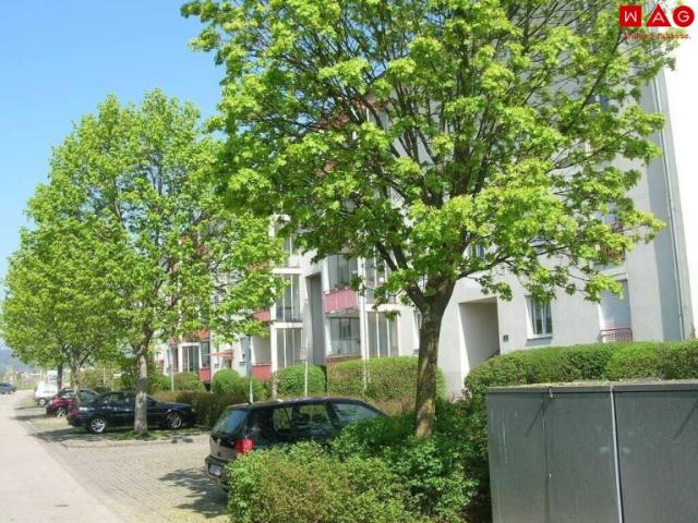 Heimkommen und wohlfühlen grünes, modernes Wohnen in Leondinger Toplage optimale Raumaufteilung erstklassige Infrastruktur!