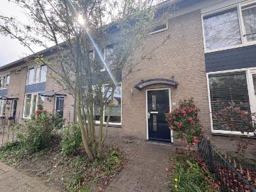 Olland, Meierijstad, Noord-Brabant - Tuin