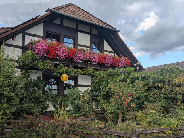 helle180 qm DHH mit ELW in Schaafheim