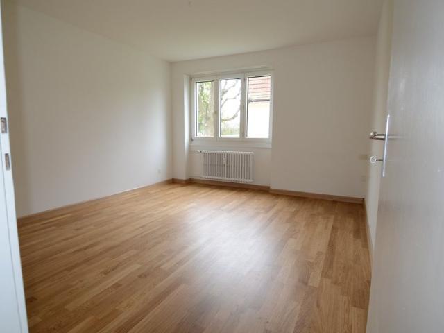 Helle 4 Zimmerwohnung mit neuer Küche