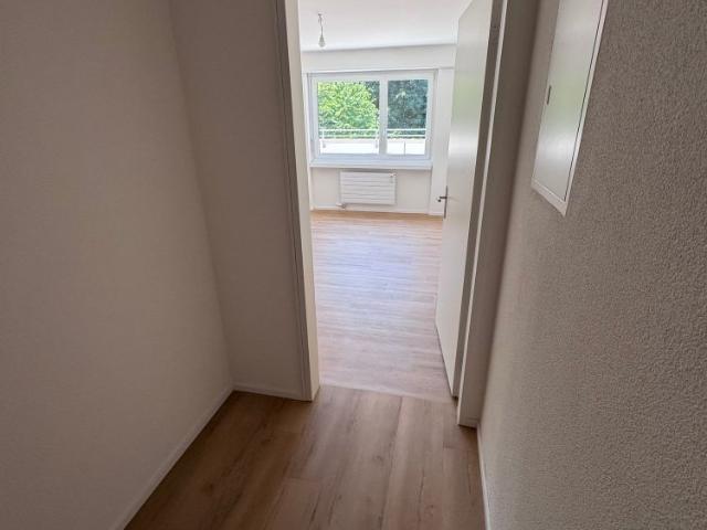 Helle 4.5 Zimmer Terrassenwohnung in Rheinfelden