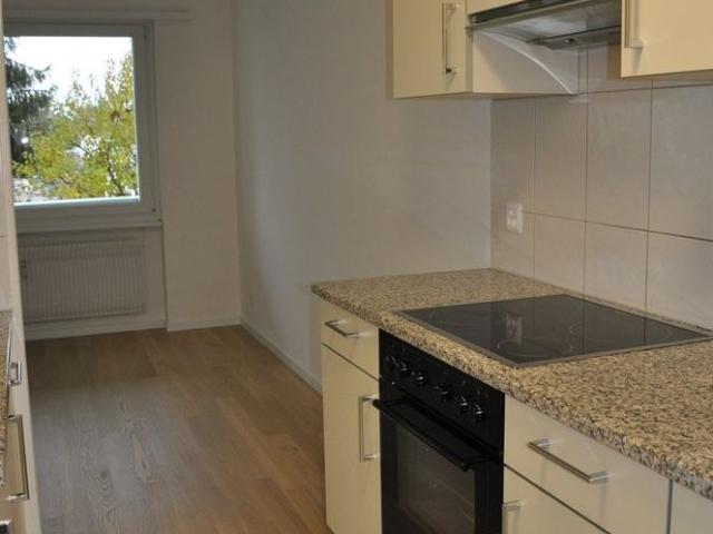 Helle 4.5 Zimmer Wohnung in Alchenflüh mieten