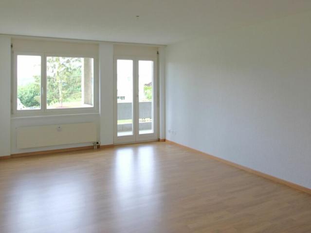 Helle 4.5 Zimmerwohnung in ruhigem Quartier