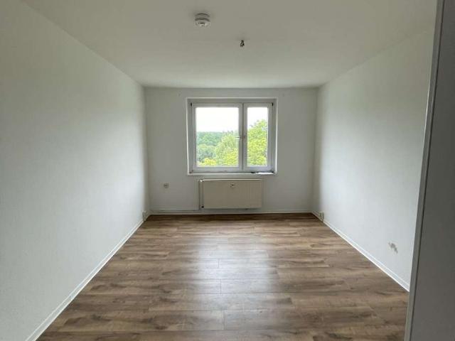 Helle 1 Raumwohnung im Grünen