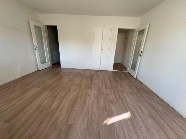 Helle 1 Zimmer Wohnung mit Balkon Nähe Zoo Basel