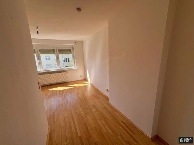Helle 1 Zimmer Wohnung mit Einbauküche
