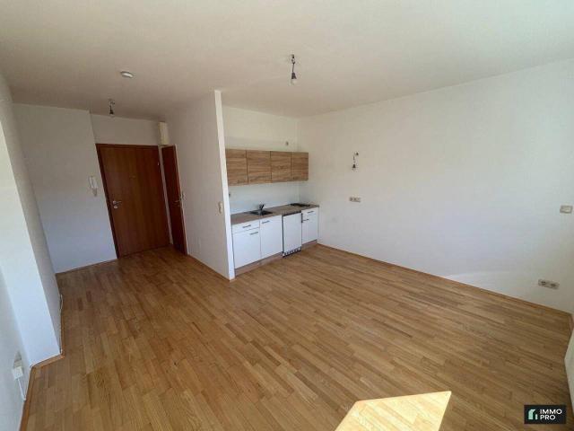 Helle 1 Zimmer Wohnung mit Einbauküche