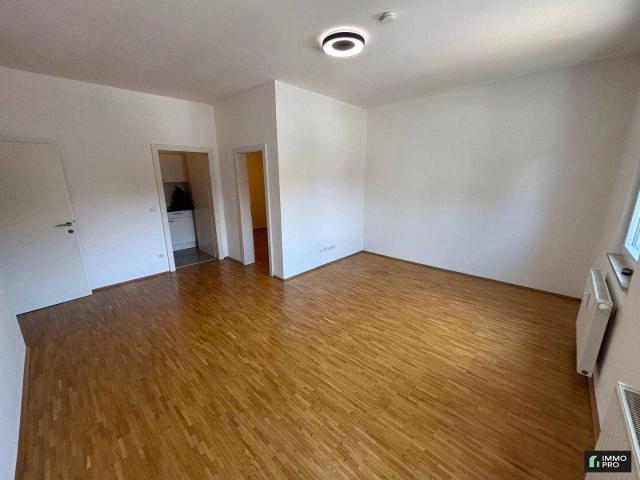 Helle 1 Zimmer Wohnung Provisionsfrei!