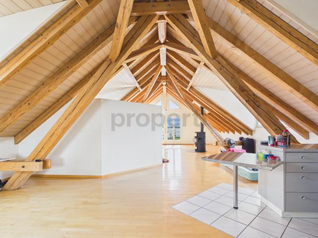 Helle 1 Zimmer Loftwohnung mit Balkon ins Grüne, Hausen am Albis Mietzins inkl. Nebenkosten