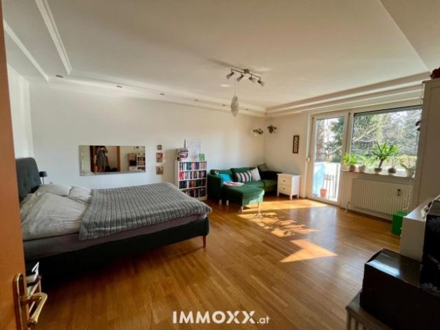 Helle 2 Zimmer Wohnung mit Balkon ins Grüne in Graz Eggenberg