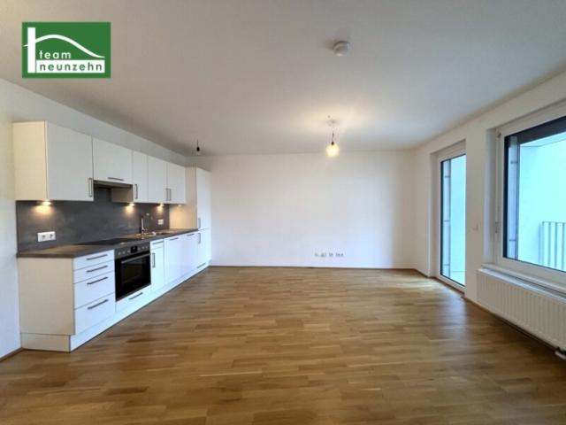 Helle 2 Zimmer Wohnung mit Einbauküche und Balkon – verfügbar ab November!
