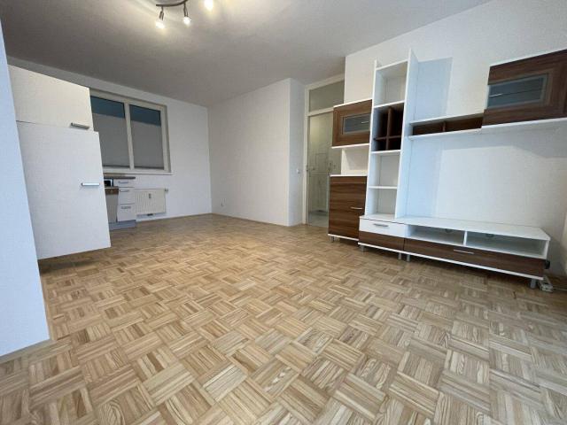 Helle 2 Zimmer Wohnung mit großer Loggia und Tiefgaragenstellplatz