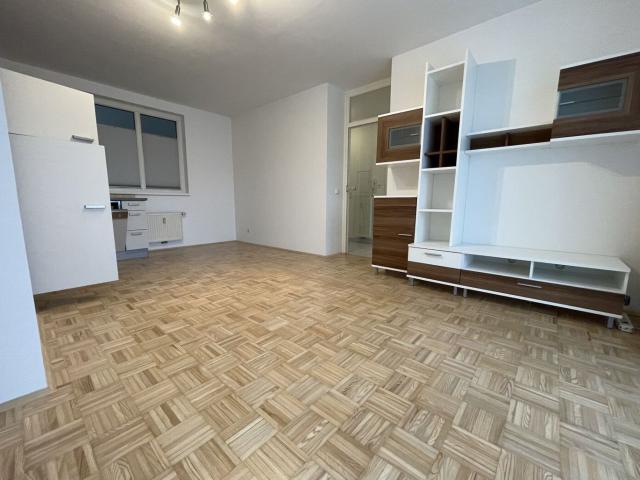 Helle 2 Zimmer Wohnung mit Großer Loggia und Tiefgaragenstellplatz