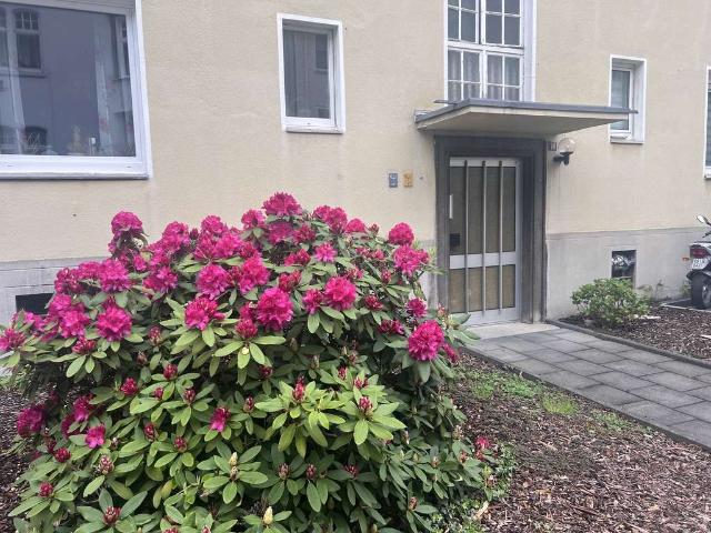 Helle 2 Zimmer Wohnung mit grünem Ausblick · Essen Frohnhausen
